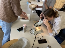 2 piger fra 8. klasse undersøger fisk og ser på muslinger i stereolup i Skoletjenesten Fjordhuset foto Jens Bak Rasmussen