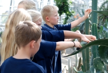 Elever ser på planter