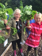 Børn med friske rødbeder