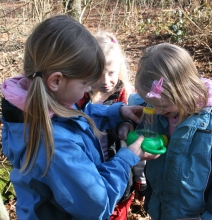 Børn ser på insekter i en lup