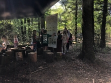 Elever ser på plancher af smådyr