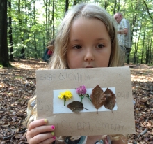 Collage med indsamlede planter og blade