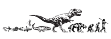 Evolution