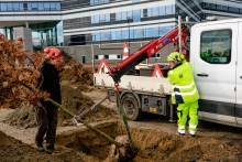 Entreprenørenheden - Aarhus Kommune