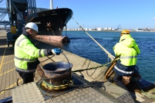 Aarhus Havn - det maritime