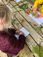 Børn farver med naturens farver