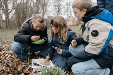 Elever kigger i lupper udendørs.