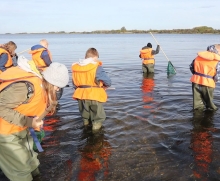 Egholm elever fra 4. klasse fisker med rejehov i Limfjorden iført waders