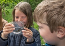 Foto af børn der kigger på dyr fra skovsøen