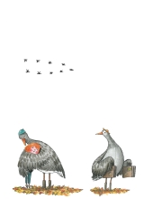 © Sarah Juul