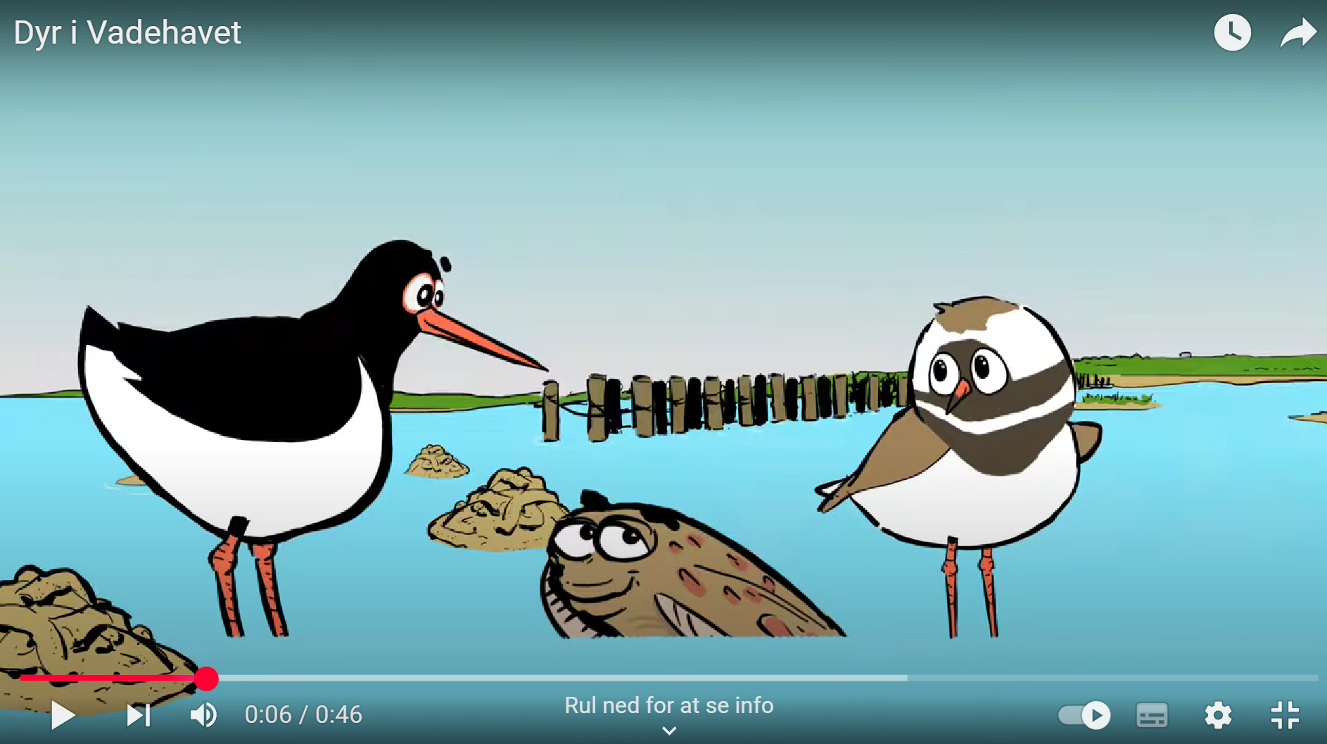 Udklip fra filmen Dyr i Vadehavet