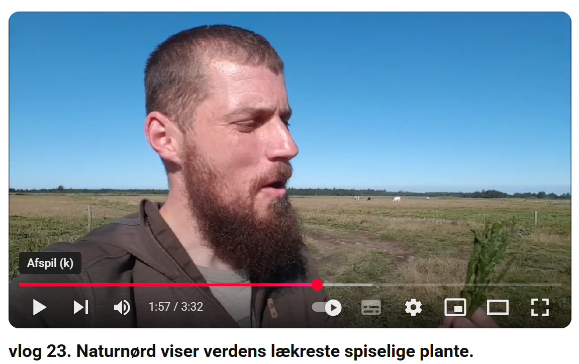 Naturnørds YouTubevideo om kveller