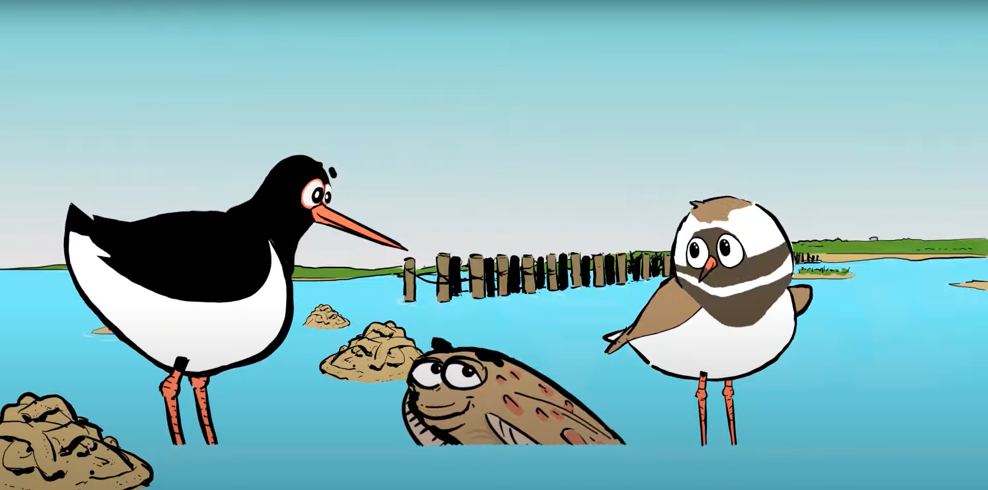 Tegning af strandskaden Skalle