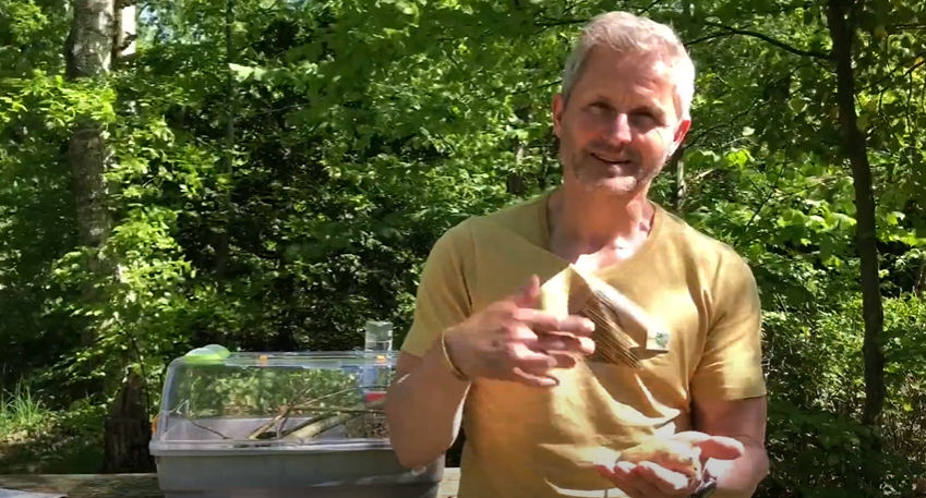 Fortælling om mus i Guldager Naturskole